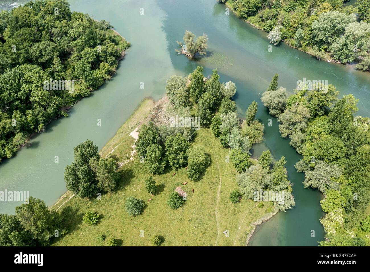 Confluenza del fiume Limmat e del fiume Aare a Limmatspitz, vista aerea, Argau, Svizzera. Foto Stock