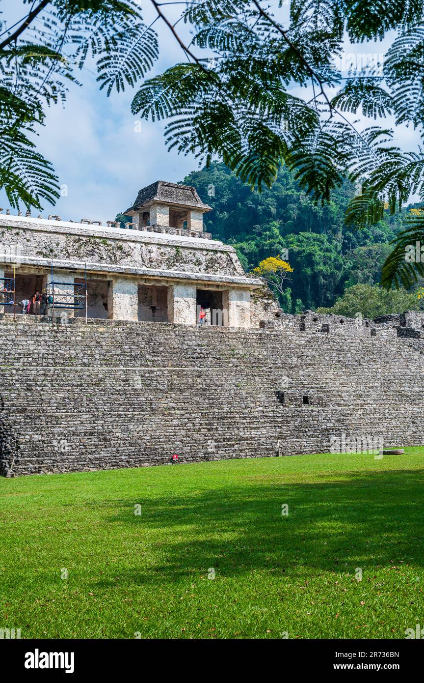 Antiche rovine Maya nel sito archeologico di Palenque in Chiapas, uno dei siti più importanti del Messico Foto Stock