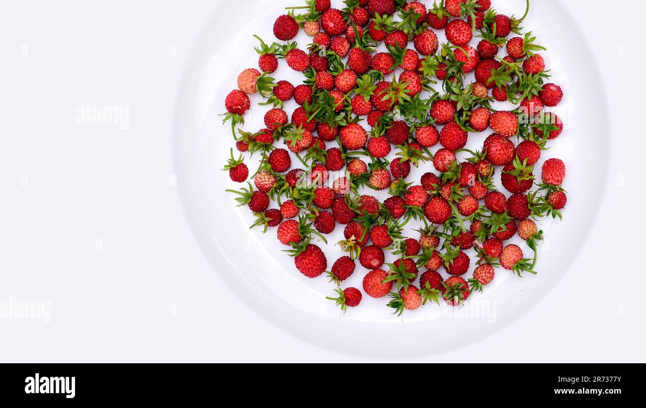fragole selvatiche su fondo bianco Foto Stock