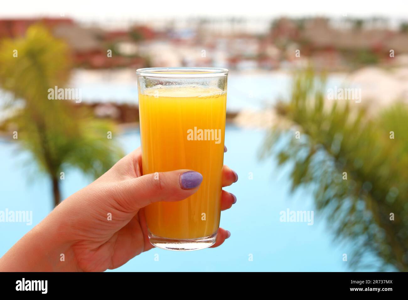 Bicchiere di succo d'arancia in un resort tropicale a mani femminili con palme sullo sfondo Foto Stock