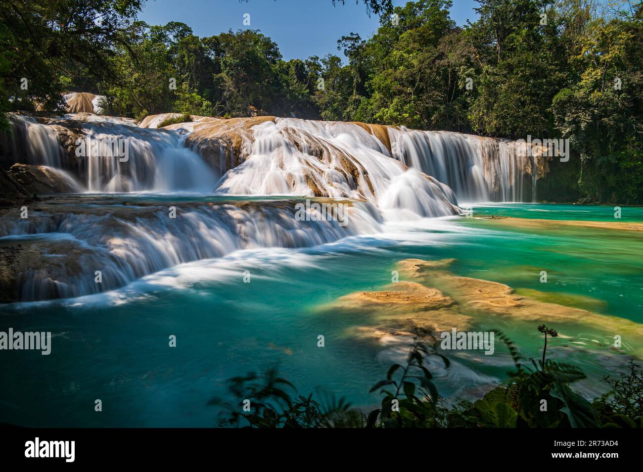 Le Cascadas de Agua Azul (in spagnolo "cascata d'acqua blu") sono una serie  di cascate che si trovano sul fiume Xanil nello stato messicano meridionale  di CH Foto stock - Alamy