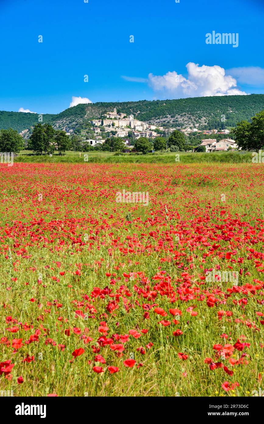 Il villaggio di Banon nel dipartimento Alpes-de-Haute-Provence della regione Provence-Alpes-Côte d'Azur della Francia meridionale, Europa Foto Stock