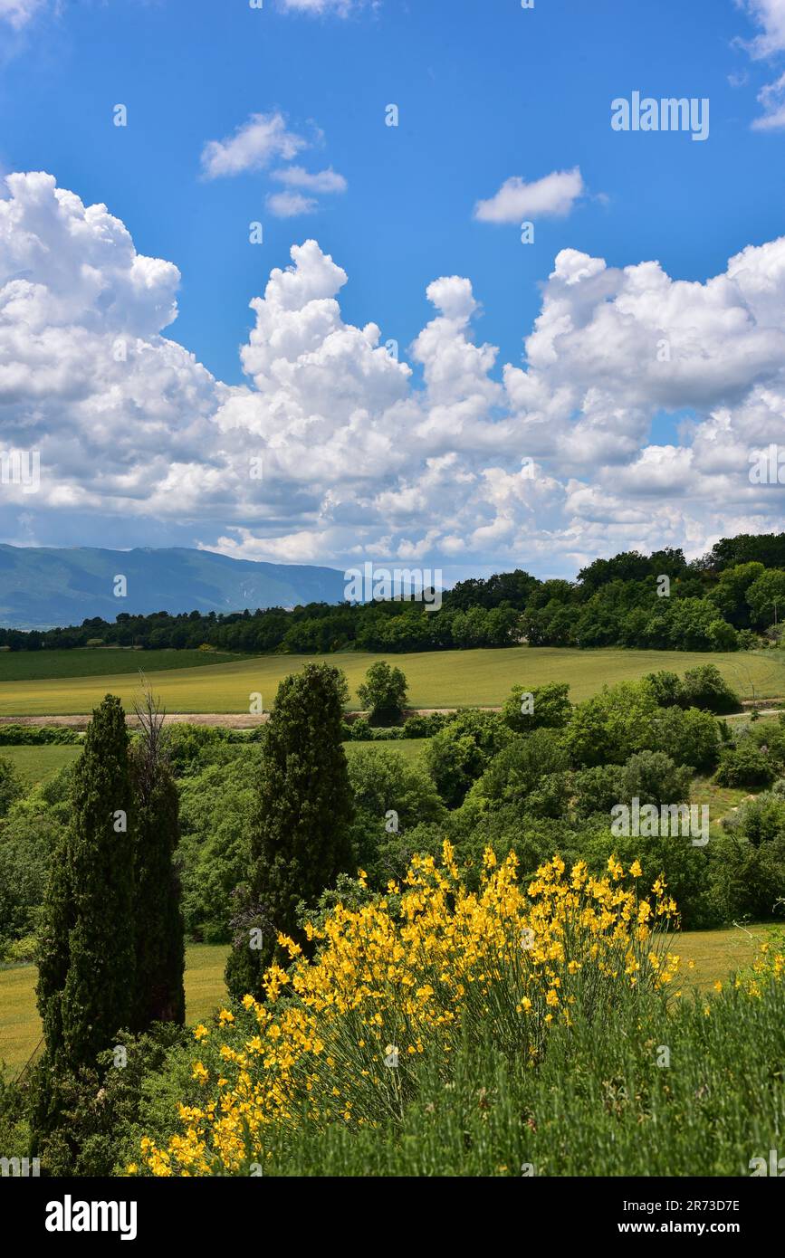 Vista sulle montagne del Parco Naturale del Luberon, in Provenza, nella regione Provence-Alpes-Côte d'Azur, nel dipartimento Alpes-de-Hauter-Provence, Foto Stock