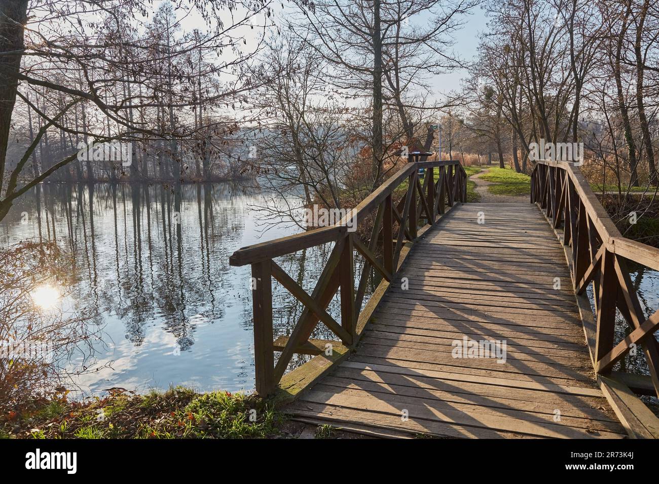 Superficie di acqua con alberi Foto Stock