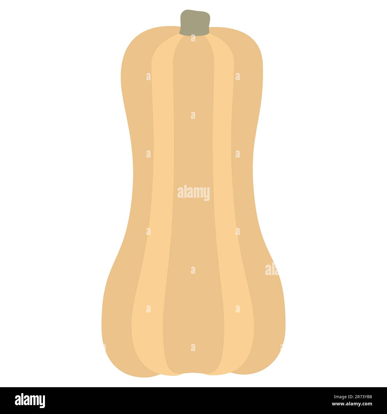 Long Pumpkin Gourd per il giorno del Ringraziamento o Halloween disegno vettore isolato illustrazione su sfondo bianco Illustrazione Vettoriale