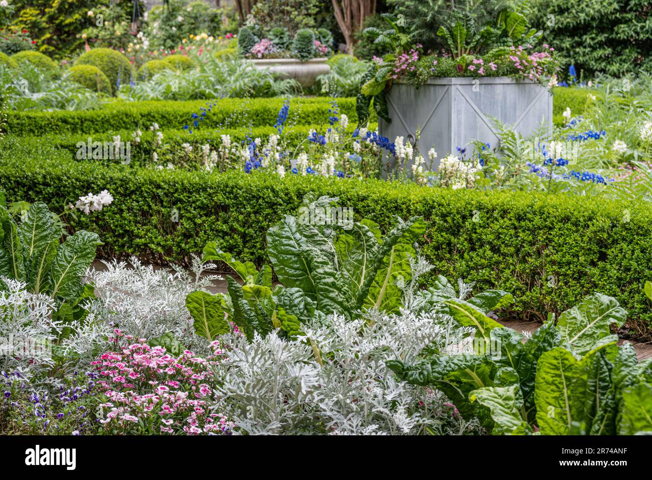 Bellissimo paesaggio del Levy Parterre giardino formale presso l'Atlanta Botanical Garden a Midtown Atlanta, Georgia. (USA) Foto Stock