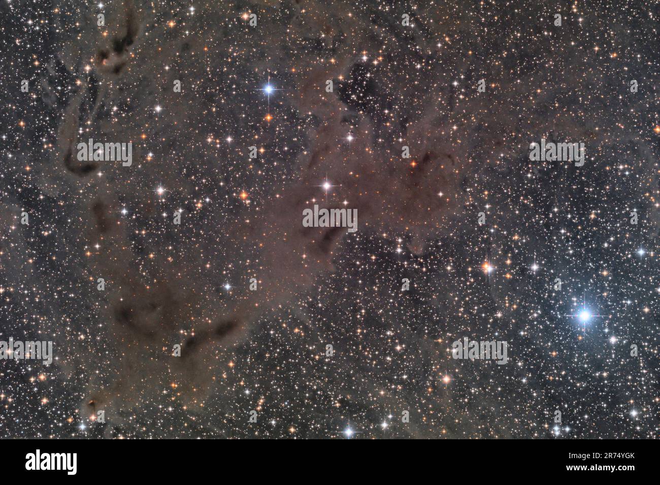 The Dark Nebula LDN 1147 Foto Stock