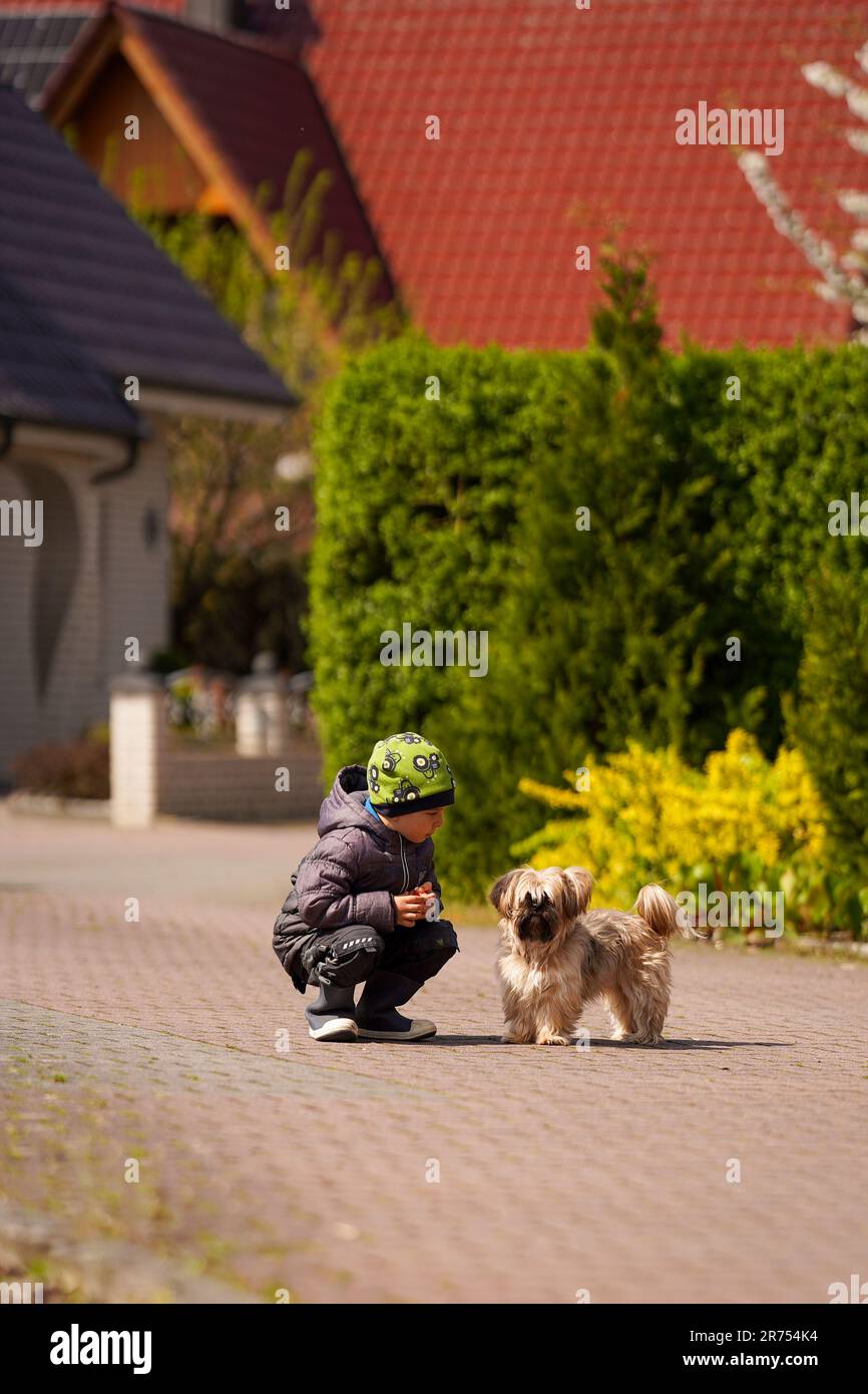 Un bambino cammina con il suo cane. Cura degli animali domestici. Foto Stock