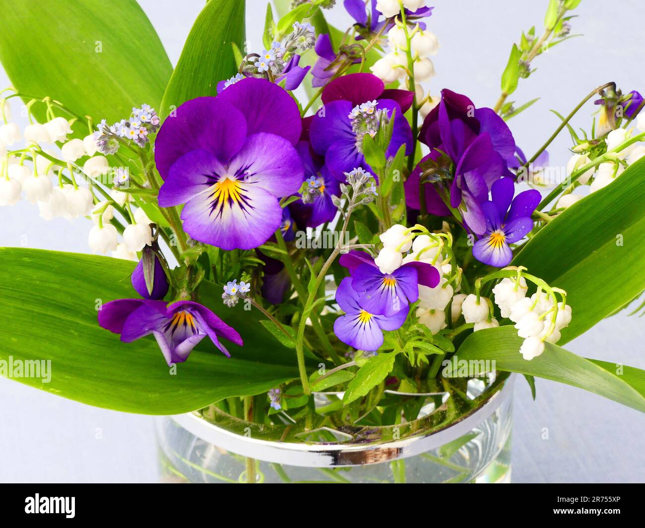 Bouquet di fiori con violette Foto Stock