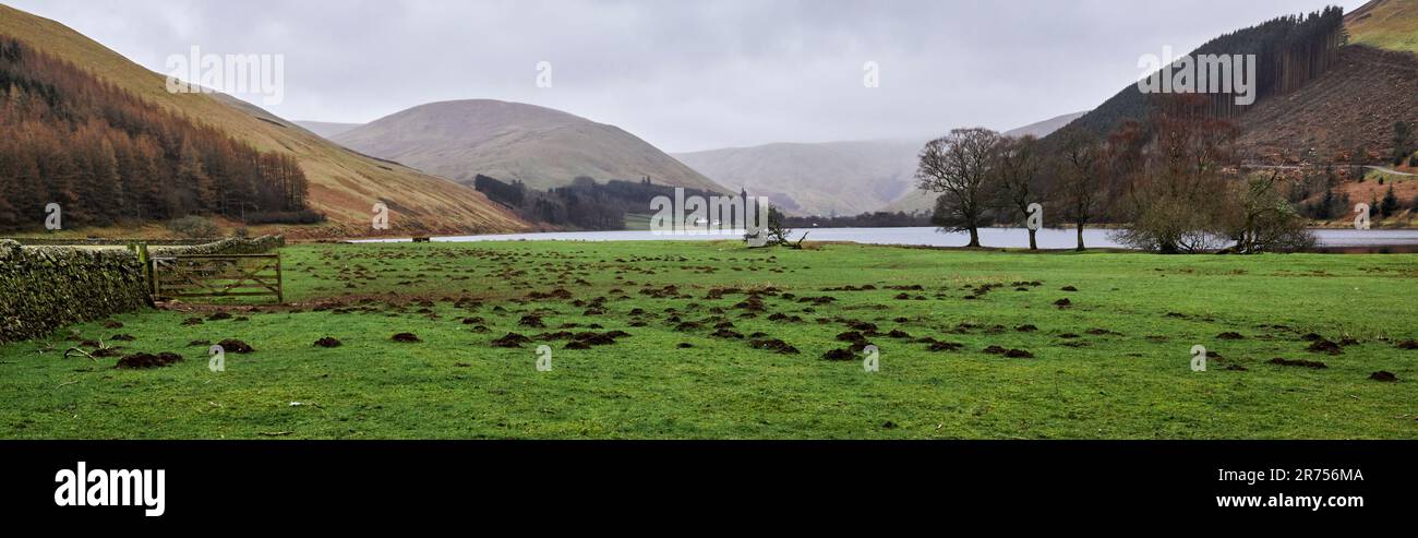 Nel mese di marzo e con un'infestazione di mole, una vista a sud attraverso Loch dei Lowes da Tibbie Shiels Inn. Dumfries e Galloway, frontiere, Scotlanda Foto Stock