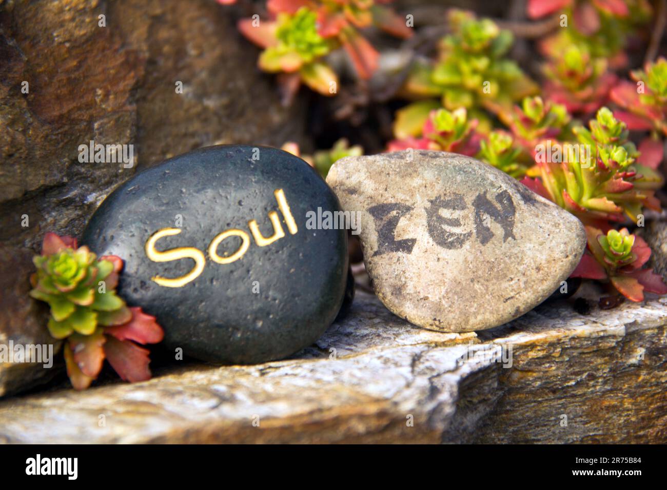 Massaggiare pietre con le parole ANIMA e ZEN Foto Stock