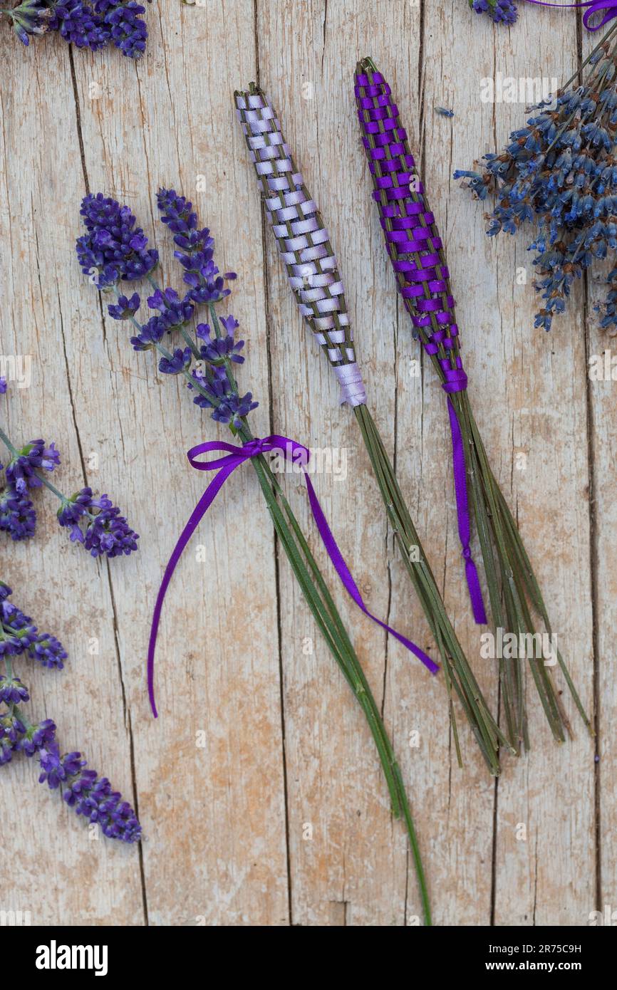 Lavanda inglese (Lavandula angustifolia, Lavandula officinalis), bastoncini di lavanda, lavanda fresca avvolta con nastro di raso per armadio di lino Foto Stock