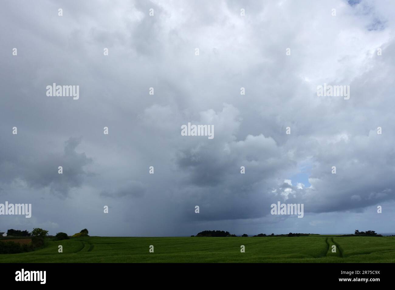 Docce a pioggia che si muovono attraverso il paesaggio del campo, tempo variabile, Francia, Bretagna Foto Stock