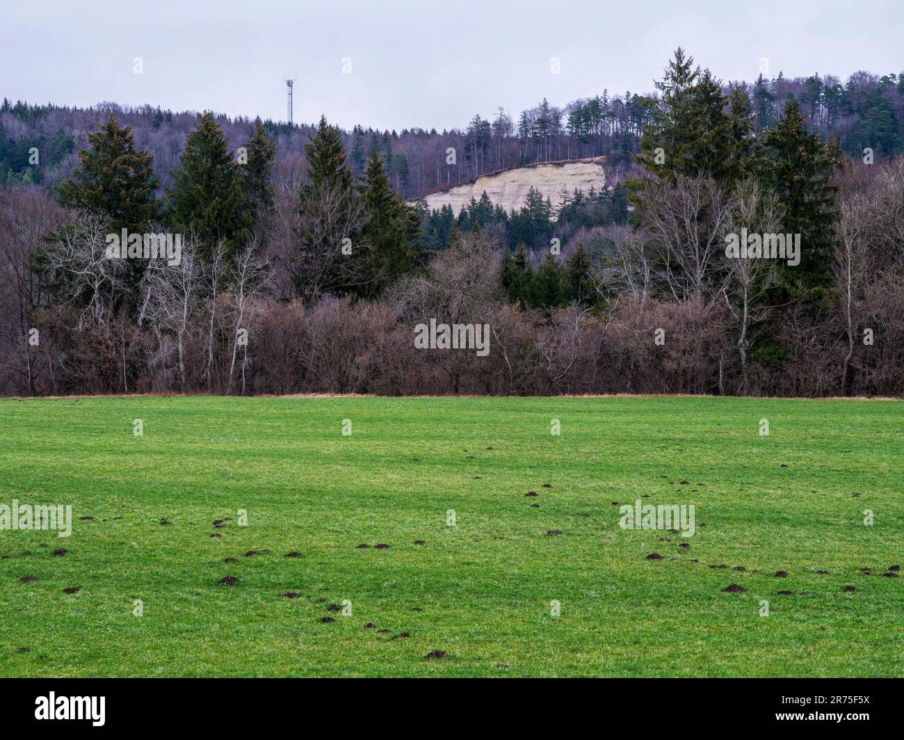 Lungo la Via Claudia Augusta vicino a Denklingen Foto Stock