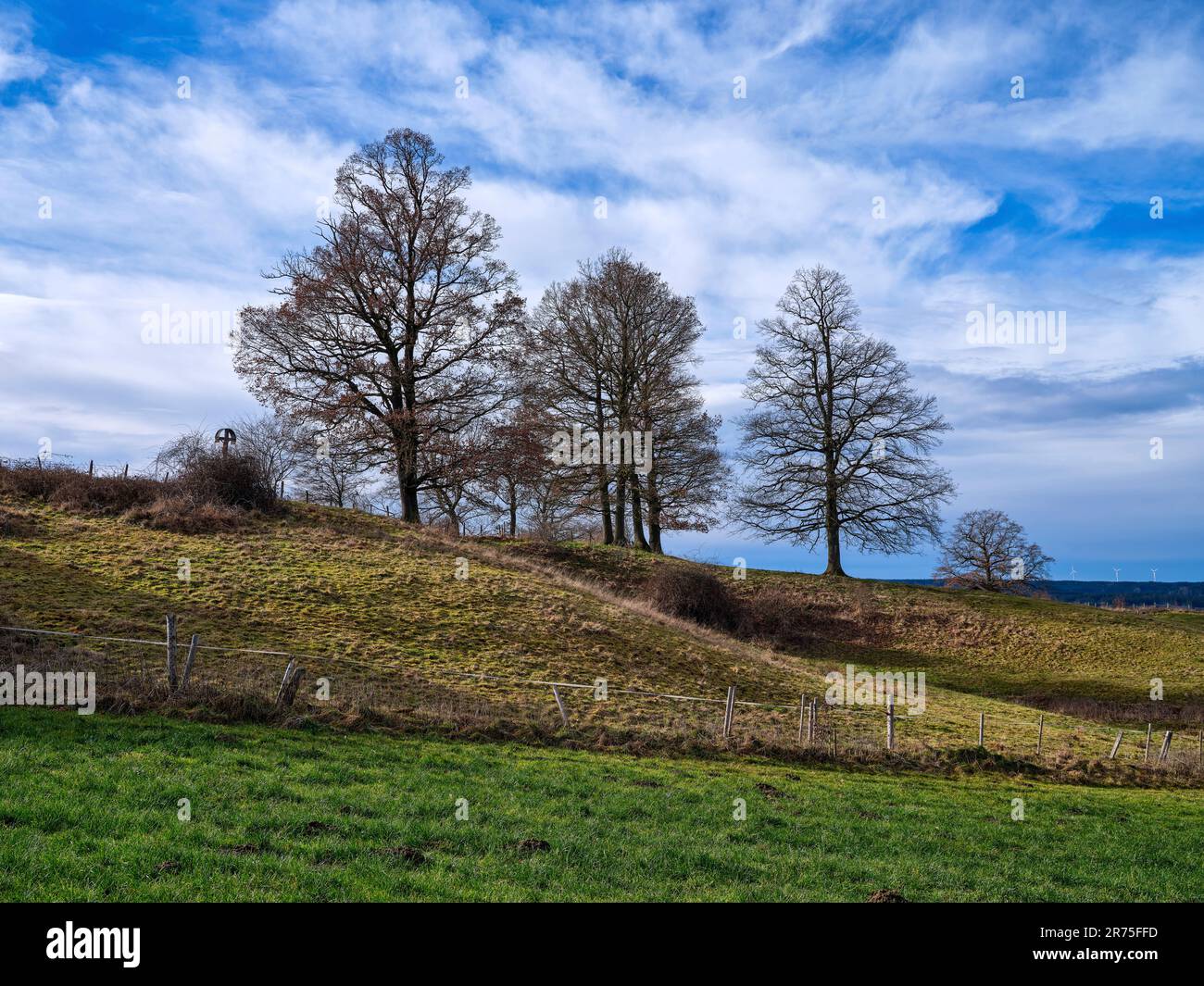 Moraine collina vicino Apfeldorf Foto Stock