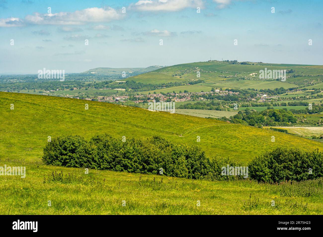 Si affaccia sullo Steyning Bowl fino a Truleigh Hill e beyong nel South Downs National Park, West Sussex, Inghilterra meridionale, Regno Unito. Foto Stock