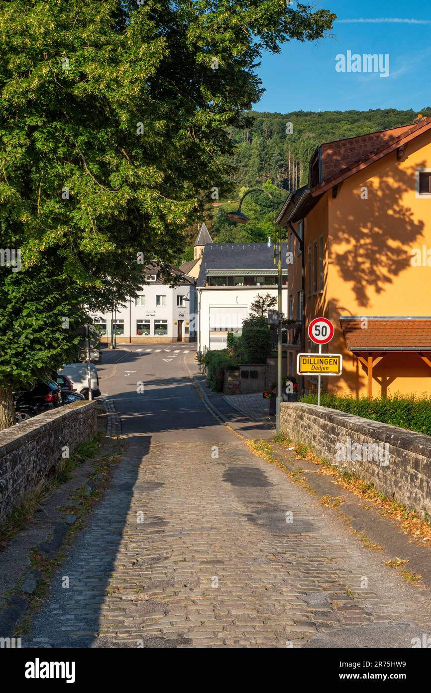 Ponte Wallendorf sul fiume Sauer, Dillingen, Befort, Beaufort Benelux, Benelux, Piccolo Lussemburgo Svizzera Canton Echternach Lussemburgo Foto Stock