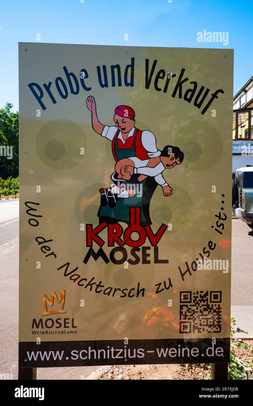 Vino pubblicità vigneto Kröver Nacktarsch a Kröv, Valle Mosella, Mosella, Renania-Palatinato, Germania Foto Stock