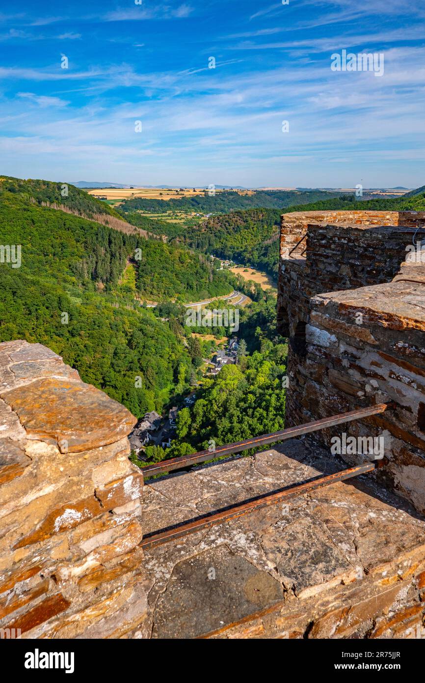 Lick nella valle di Ehrbach da Ehrenburg vicino a Brodenbach, valle di Mosel, Mosel, Renania-Palatinato, Germania Foto Stock