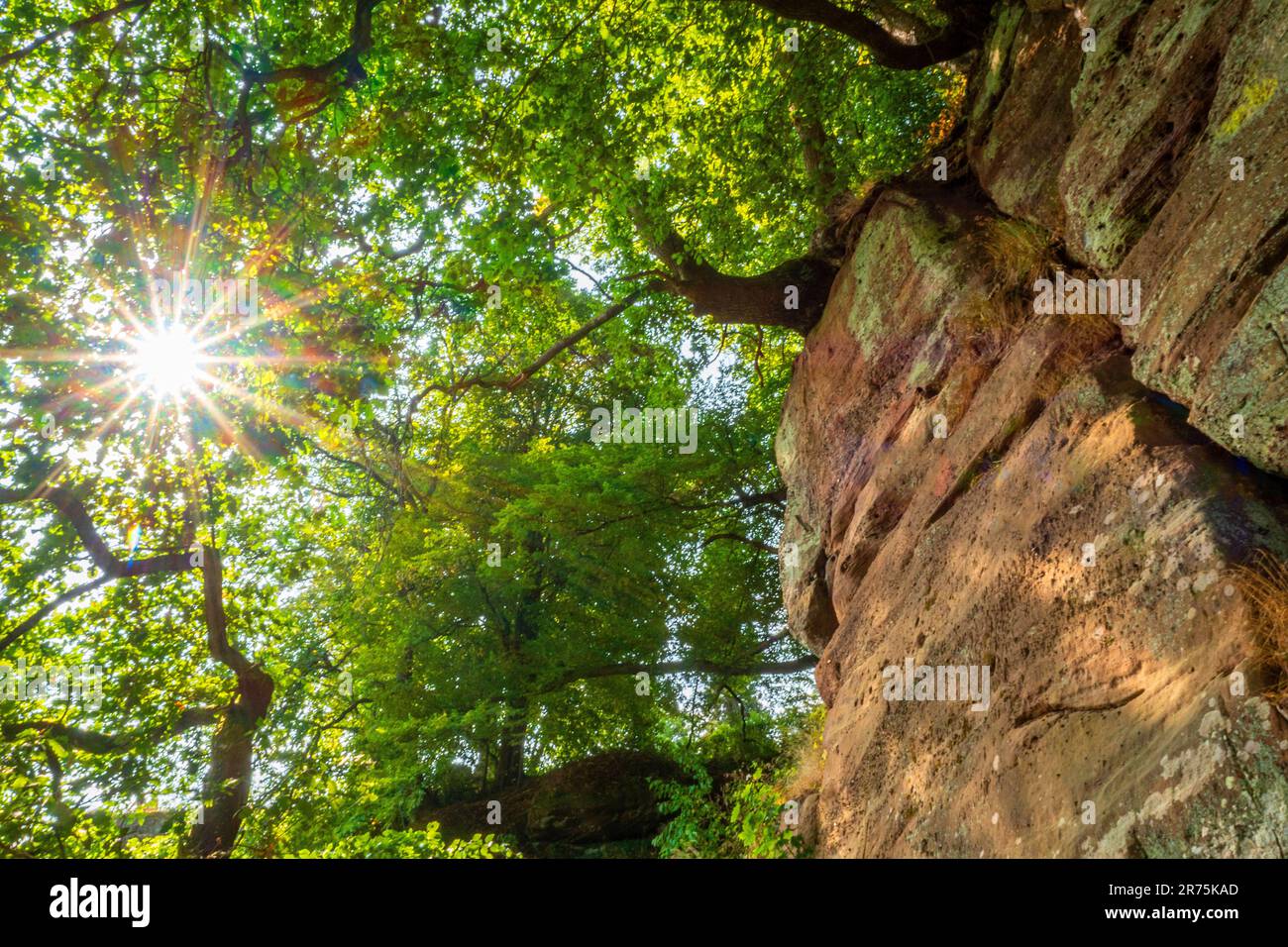 Rocce di arenaria sul Klause nel distretto di Kastel, Kastel-Staadt, Saartal, Saar-Hunsrück Parco Naturale, Saargau, Renania-Palatinato, Germania Foto Stock