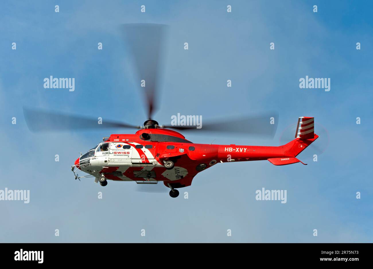 Elicottero da trasporto multiuso AS 332 Super Puma C1 HB-XVY di Heliswiss International AG in volo, Vallese, Svizzera Foto Stock