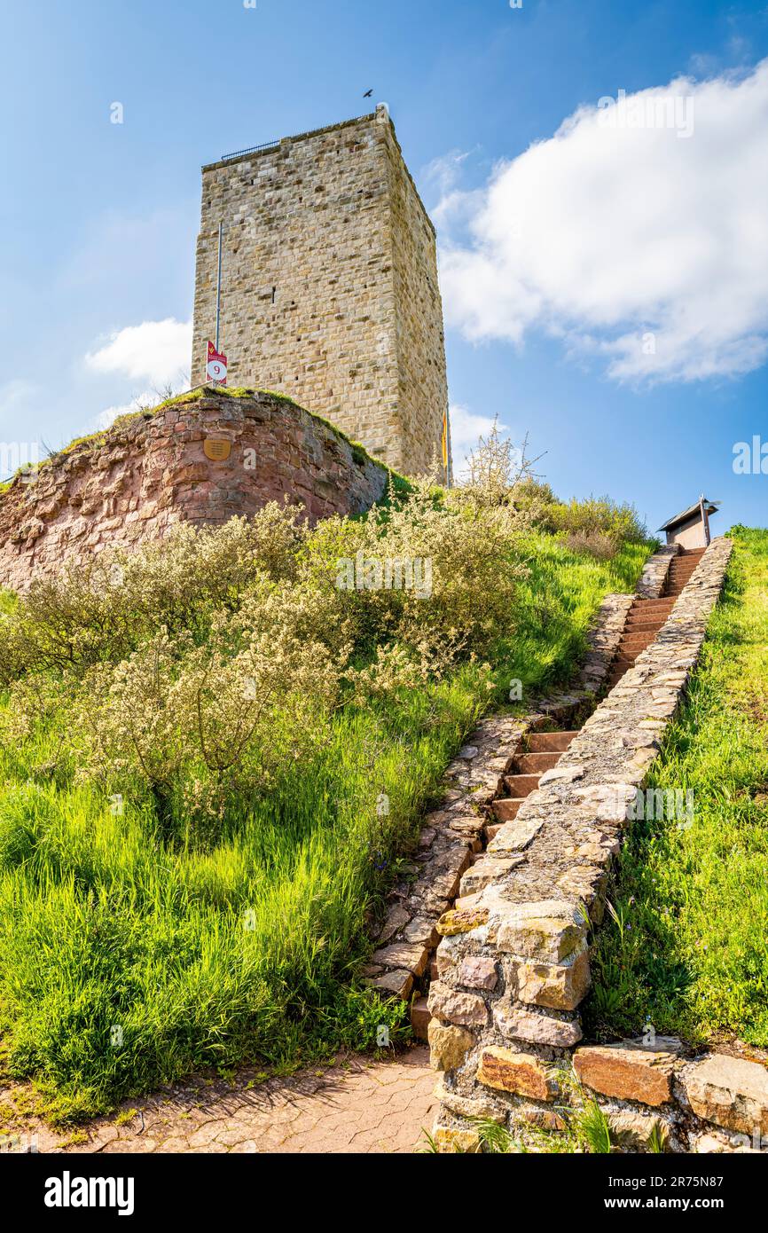 Schwabsburg a Rheinhessen nella città con lo stesso nome, castello imperiale degli Staufers dal 12th ° secolo Foto Stock