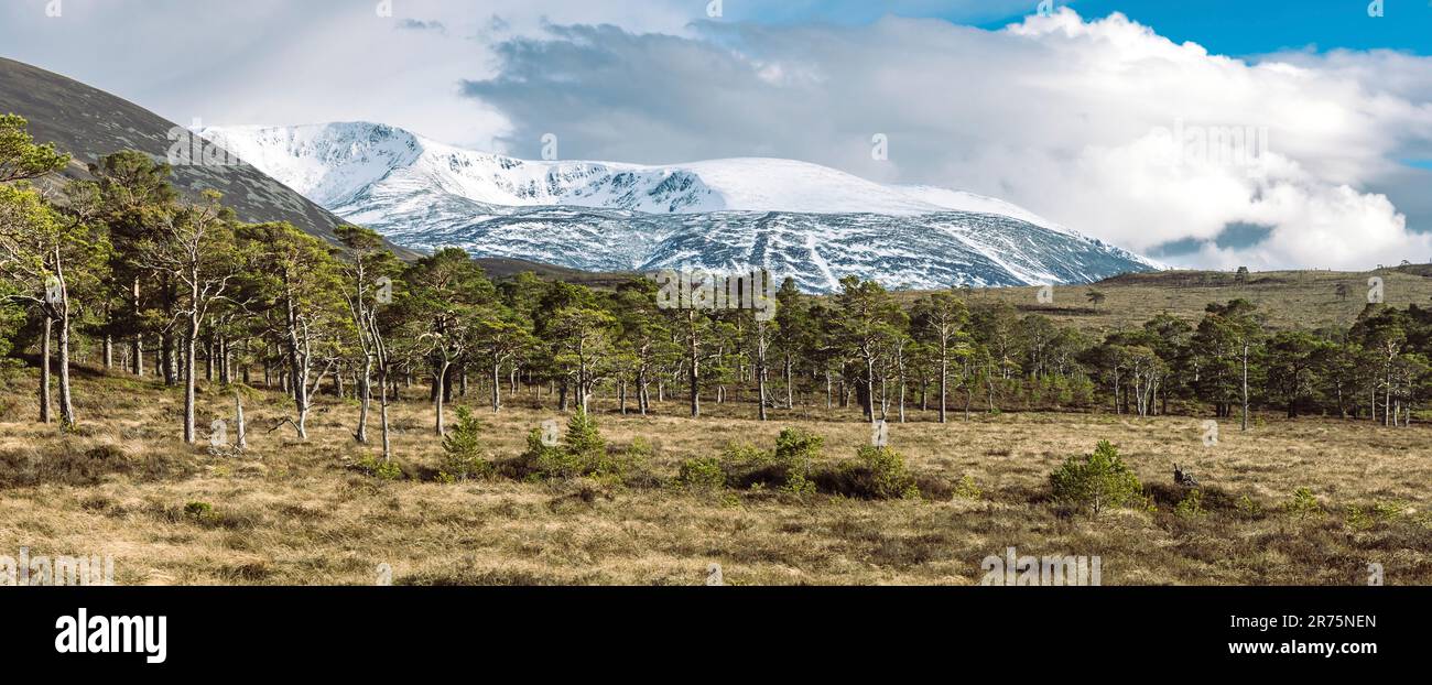 Braeriach, Cairngorms National Park Foto Stock