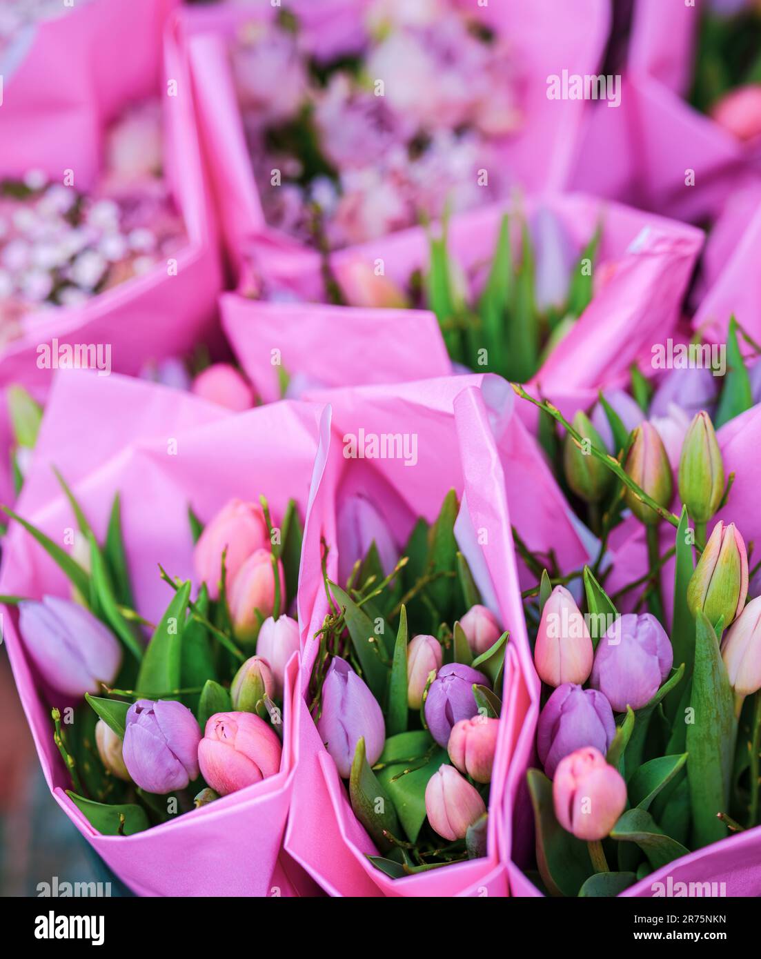 bouquet viola Foto Stock