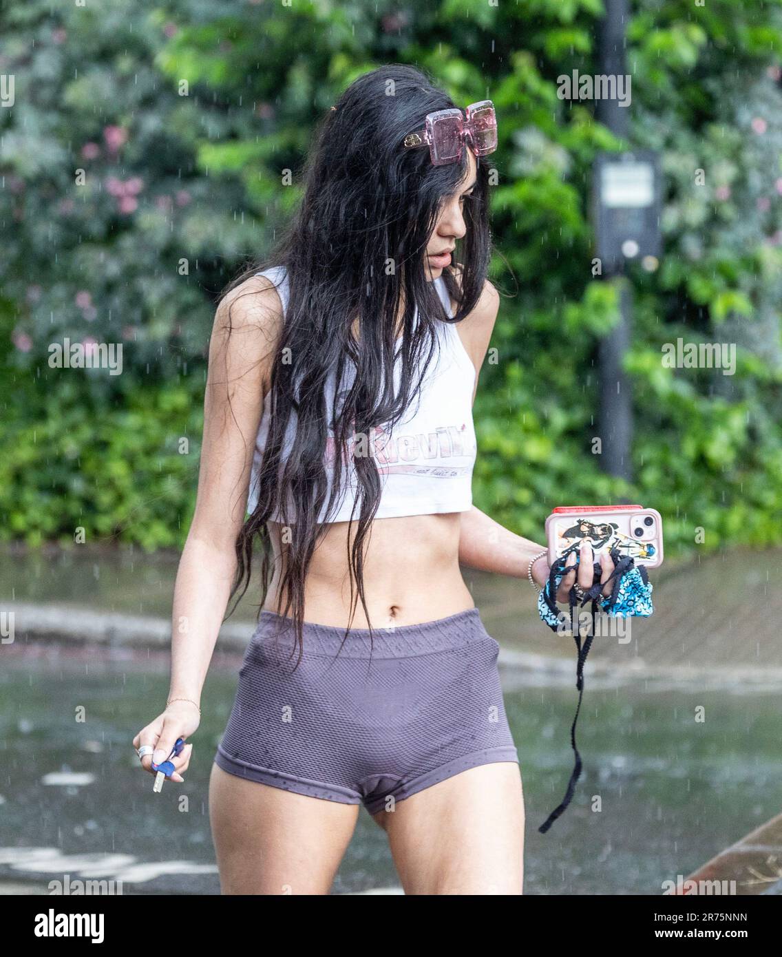 PIC show: Flash storm hits Londra Highgate adoratori del sole sono stati catturati da tuoni e fulmini in Highgate North London Dress per l'onda di calore Foto Stock