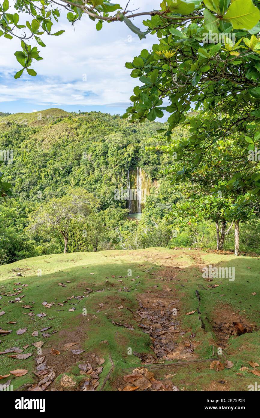 Nord America, Caraibi, grandi Antille, Isola di Hispaniola, Repubblica Dominicana, Provincia di Sama, Penisola di Sama, El Limón, Vista della cascata di Salto El Limón Foto Stock