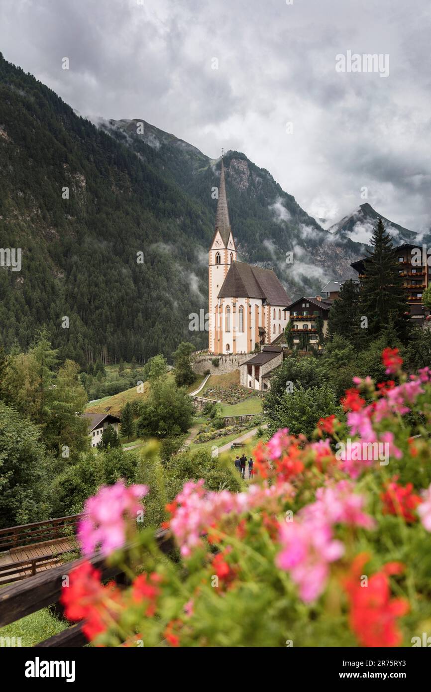 Heiligenblut am Großglockner, St La chiesa parrocchiale di Vincent con atmosfera da temporale e fiori rossi in primo piano Foto Stock