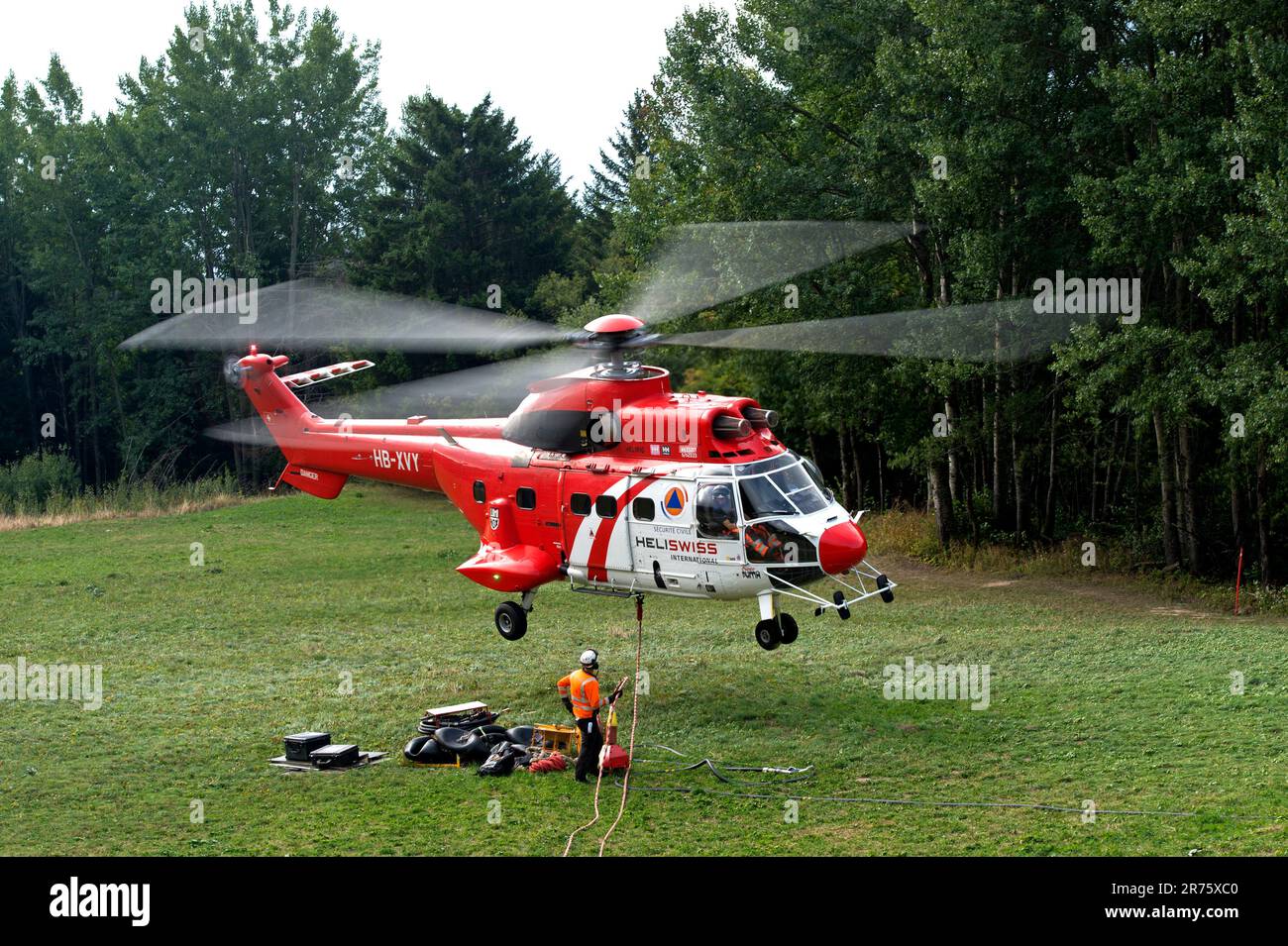 Elicottero da trasporto multiuso AS 332 Super Puma C1 HB-XVY di Heliswiss International AG decolta da un prato forestale, Vallese, Svizzera Foto Stock