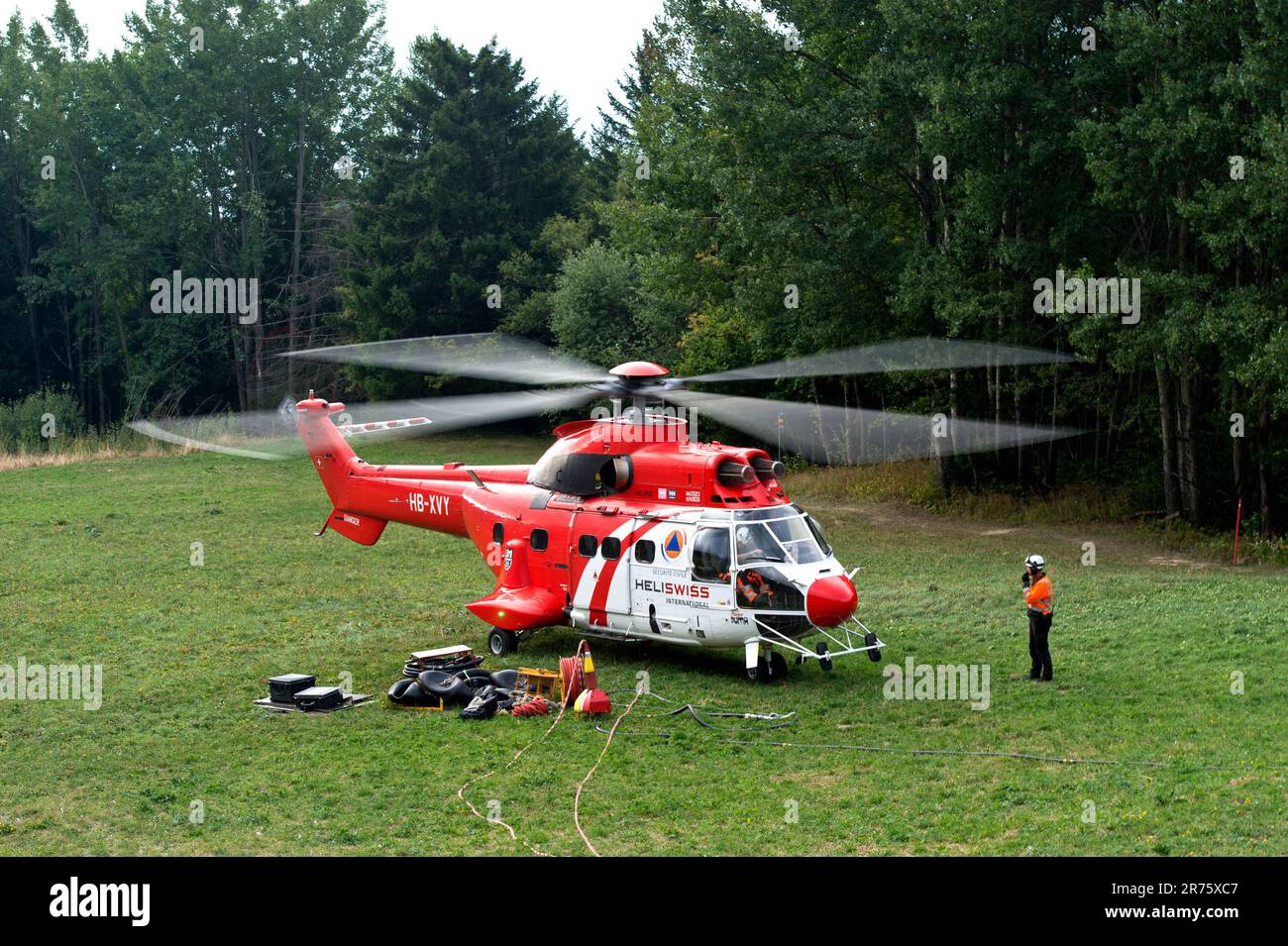Elicottero da trasporto multiuso AS 332 Super Puma C1 HB-XVY di Heliswiss International AG su un prato forestale, Vallese, Svizzera Foto Stock