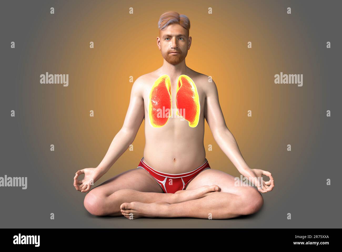 Regolazione respiratoria e respirazione nello yoga, illustrazione al computer. Anatomia della posizione di yoga del loto, o padmasana. Recupero e prevenzione di covid-19 Foto Stock