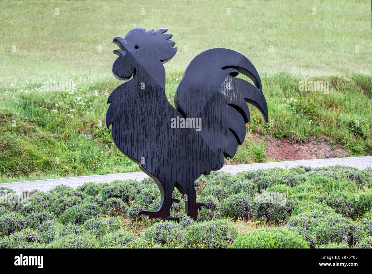 Italia, Toscana, il gallo nero è il simbolo del Chianti classico Foto Stock