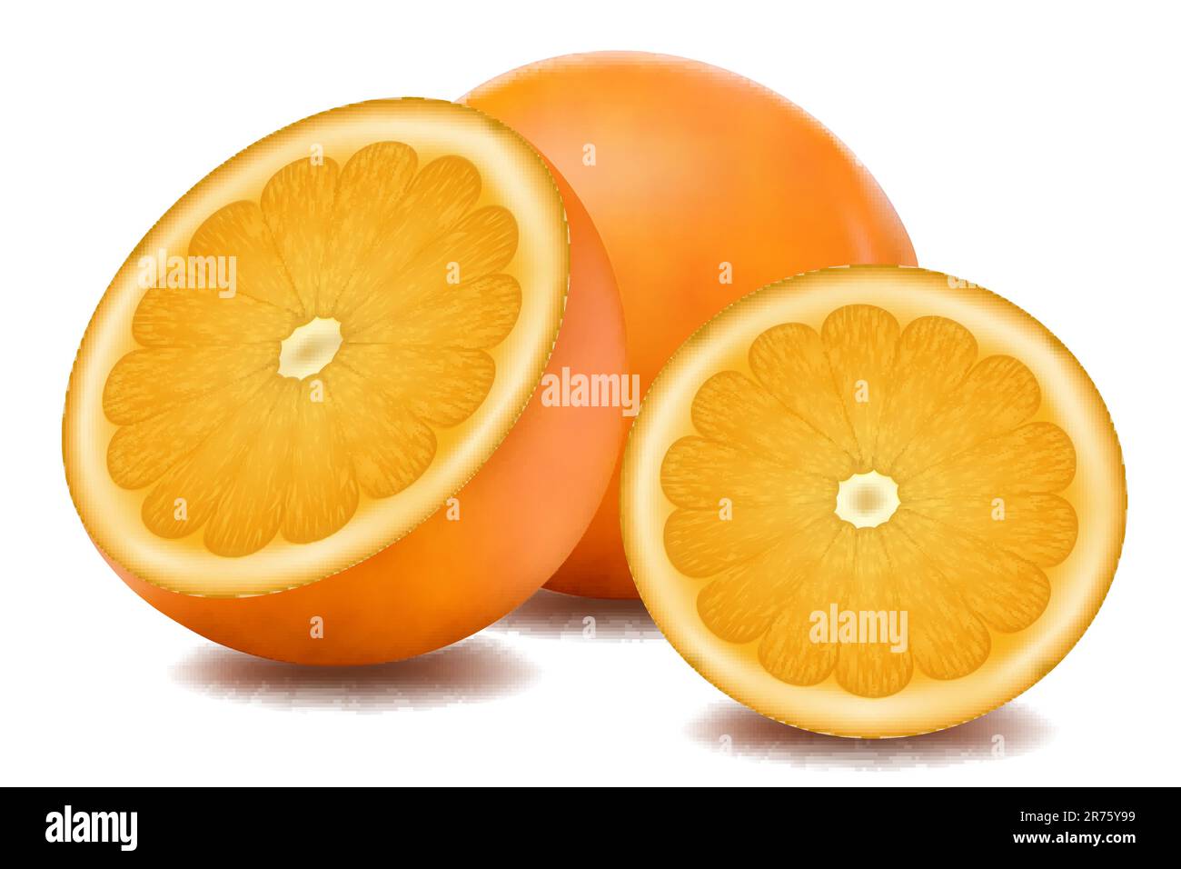 Illustrazione della frutta di colore arancione su sfondo bianco Illustrazione Vettoriale