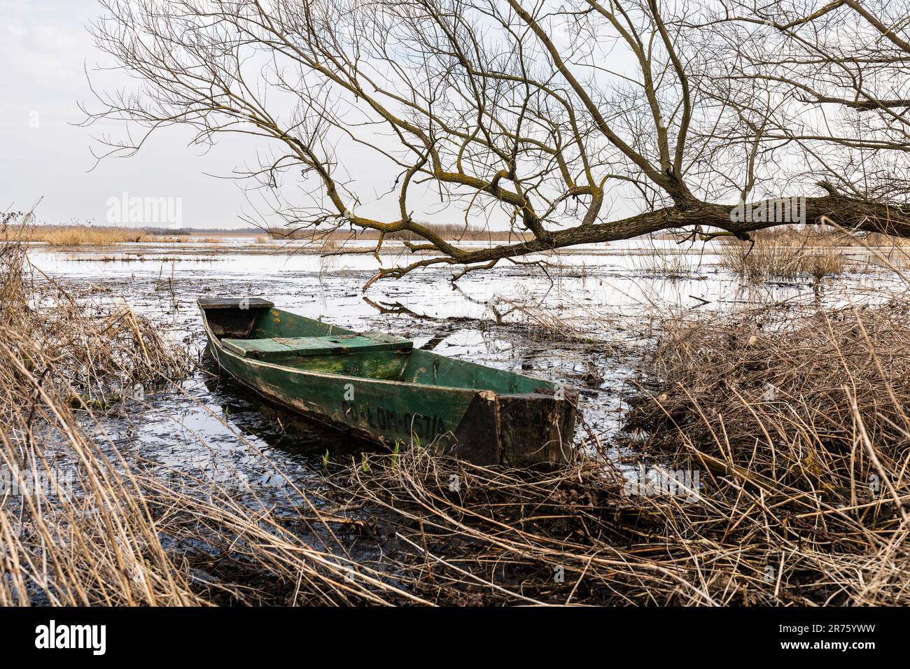 Europa, Polonia, Podlaskie Voivodeship, Biebrza, Burzyn, primavera, backwaters, barca Foto Stock