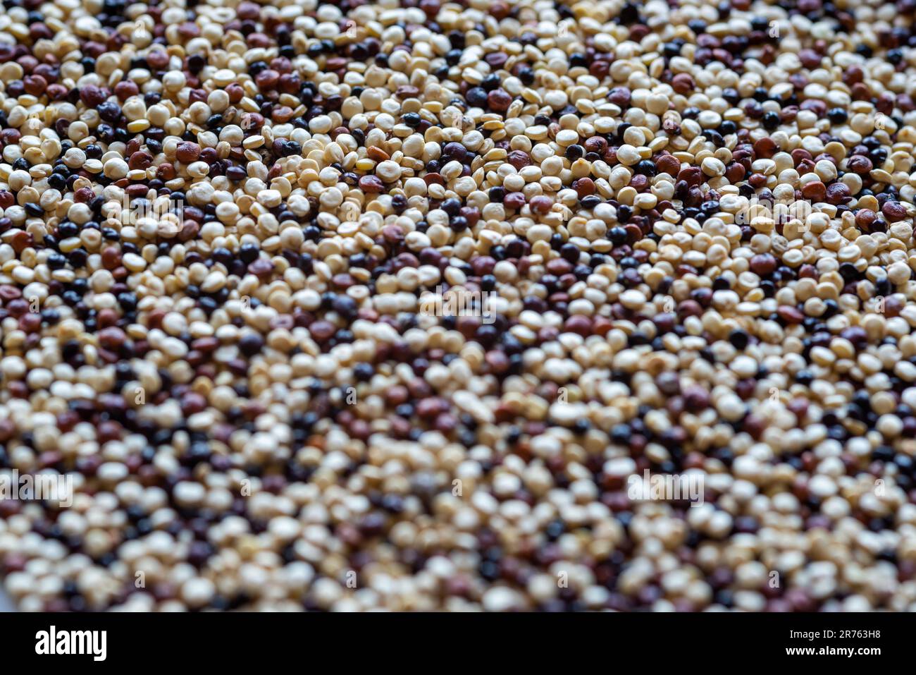 primo piano di semi di quinoa bianchi, rossi e neri Foto Stock