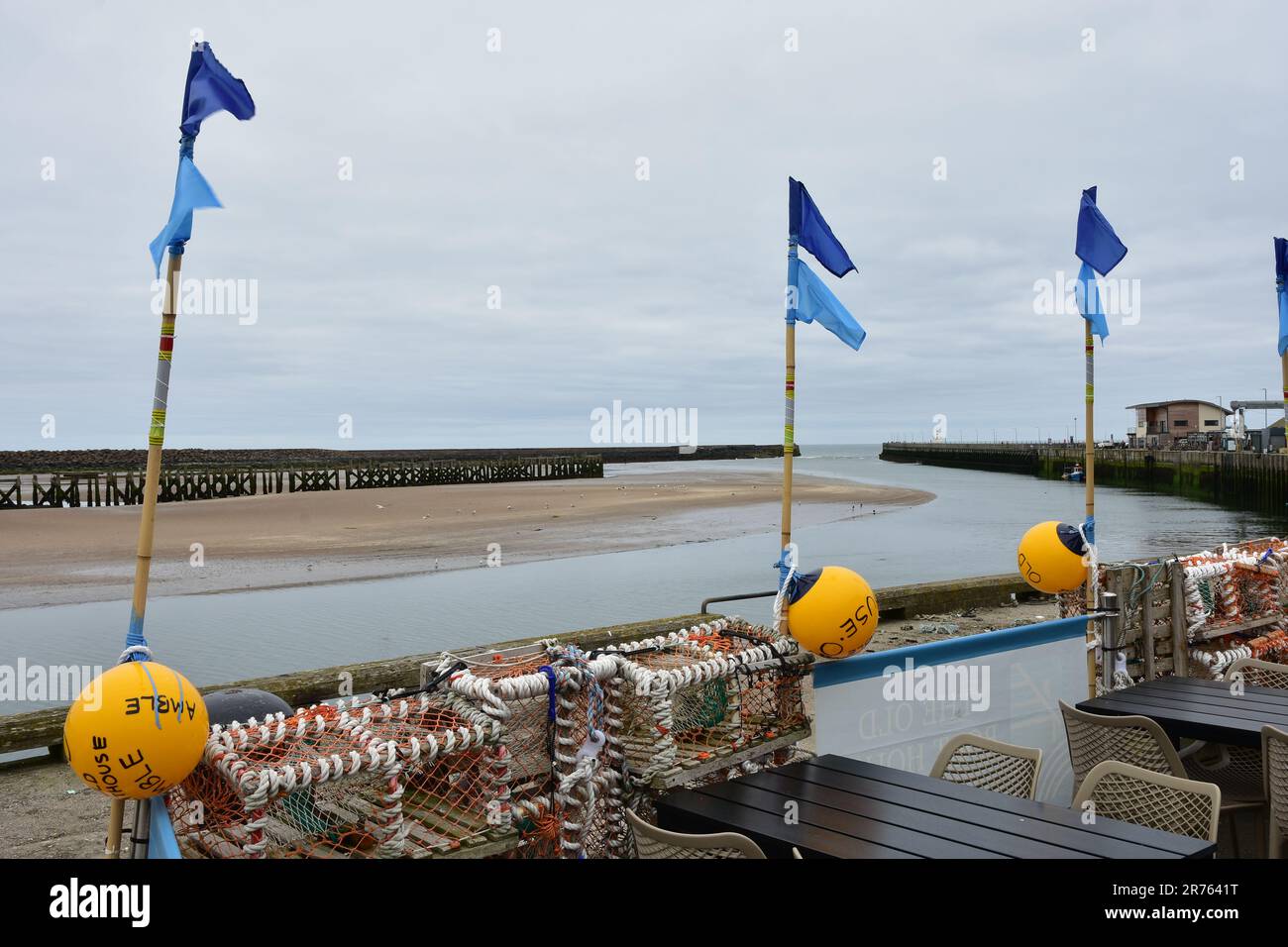 Boe, amble porto, Northumberland Foto Stock