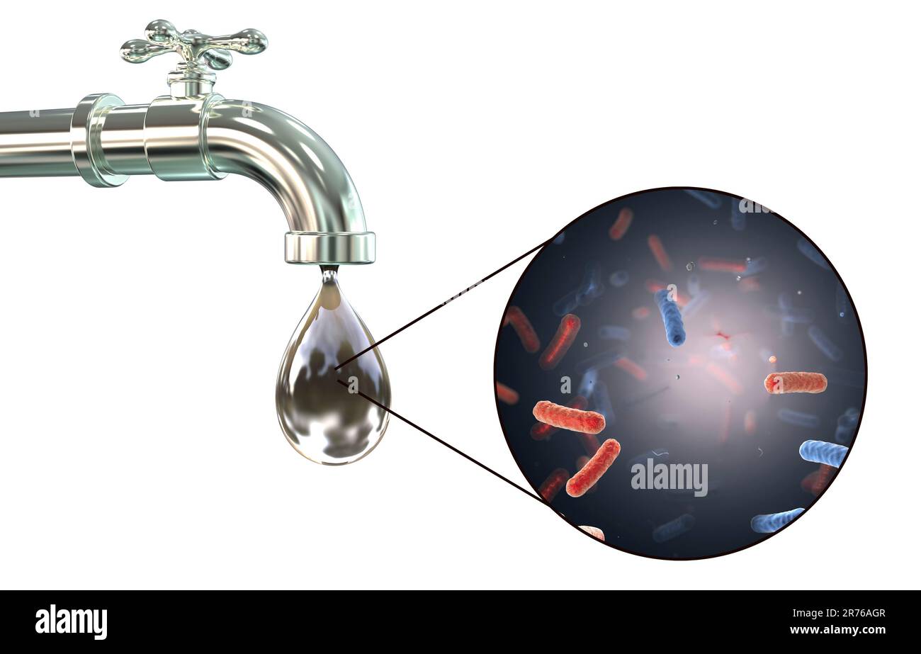 Sicurezza dell'acqua potabile, immagine concettuale che mostra i microbi in una goccia di acqua di rubinetto. Foto Stock