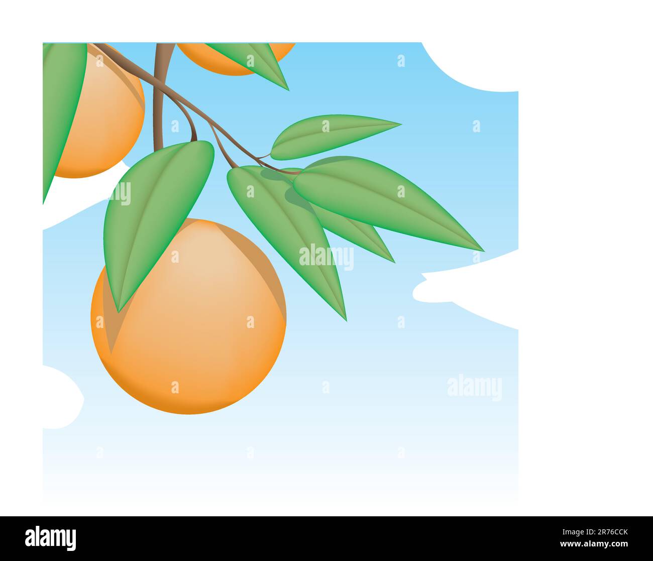 Arance appese a un albero con le foglie in una giornata luminosa e soleggiata. Illustrazione Vettoriale