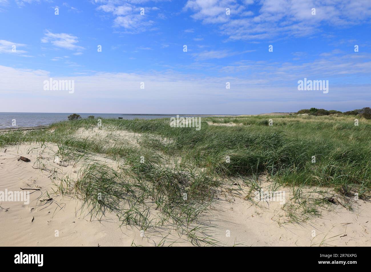 Vista sul parco naturale delle paludi saline sull'isola di Borkum Foto Stock