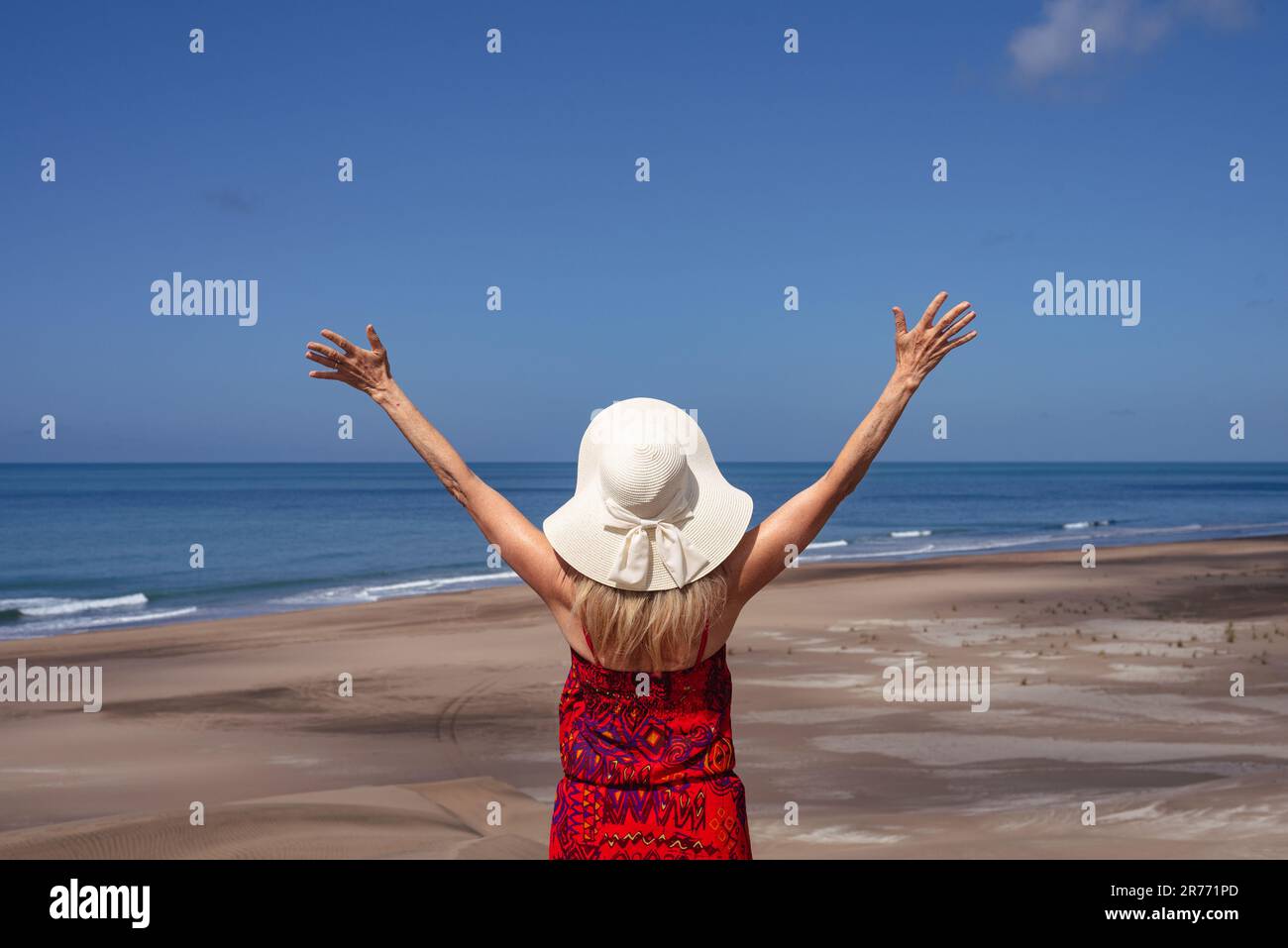 Vista posteriore di una donna con le braccia sollevate mentre si gode una giornata di sole in spiaggia. Concetto estivo. Foto Stock