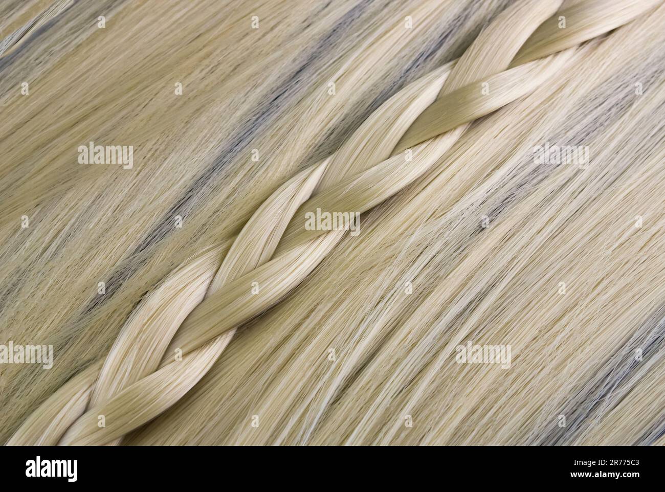 Capelli biondi, treccia, tress Foto Stock