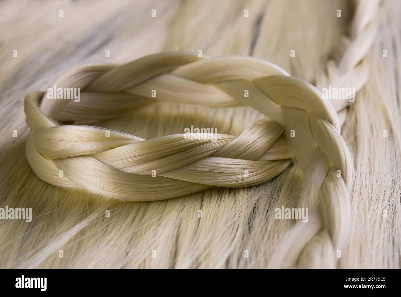 Capelli biondi, treccia, tress Foto Stock