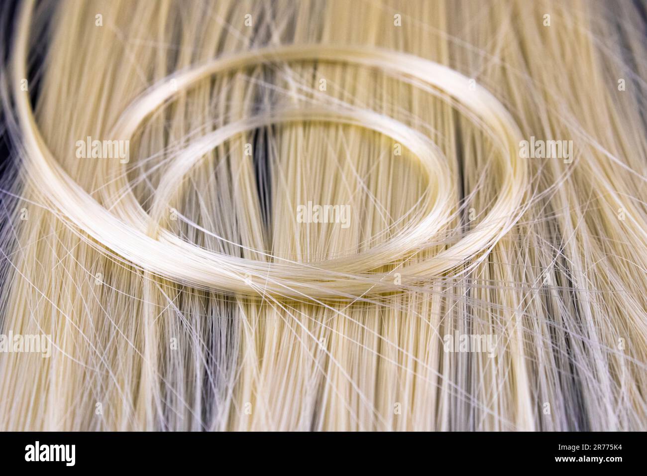 Capelli biondi, tress, treccia, ciocca circolare di capelli Foto Stock