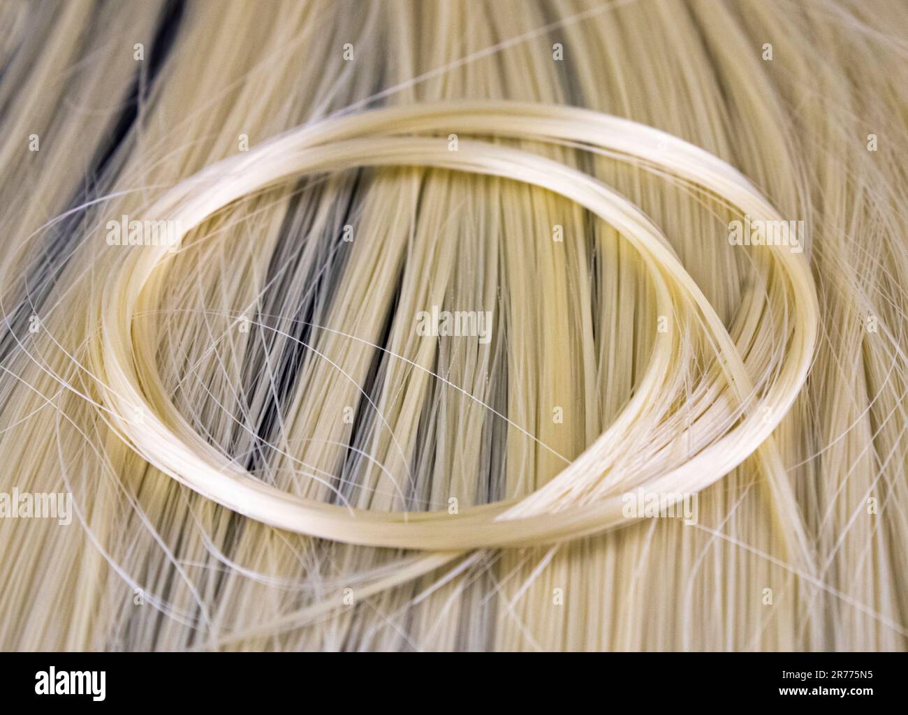 Capelli biondi, tress, treccia, ciocca circolare di capelli Foto Stock
