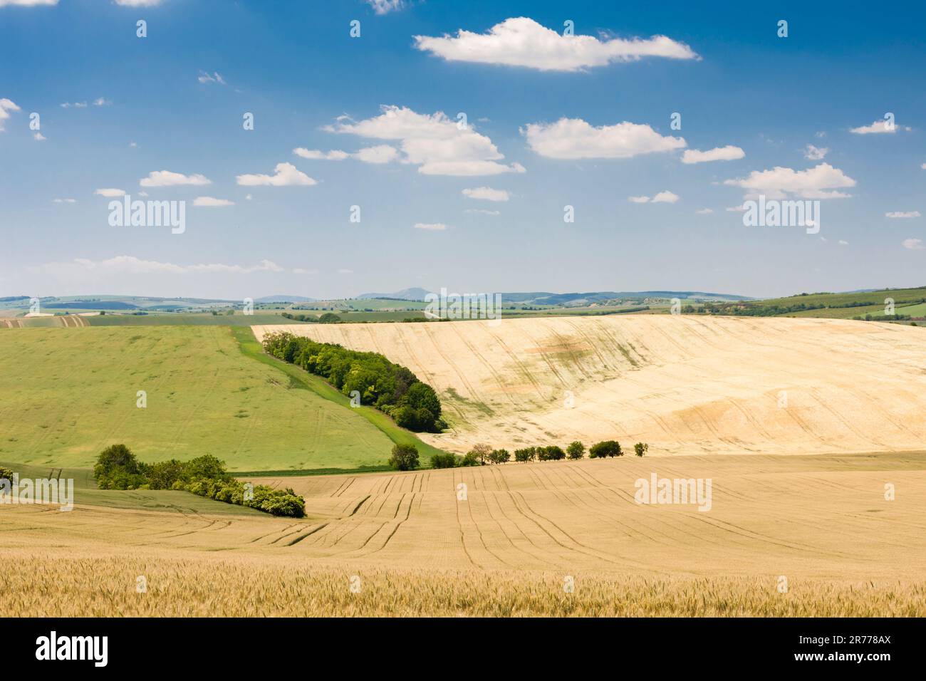 Paesaggio chiamato Moravia Toscana, Moravia meridionale, Repubblica Ceca Foto Stock