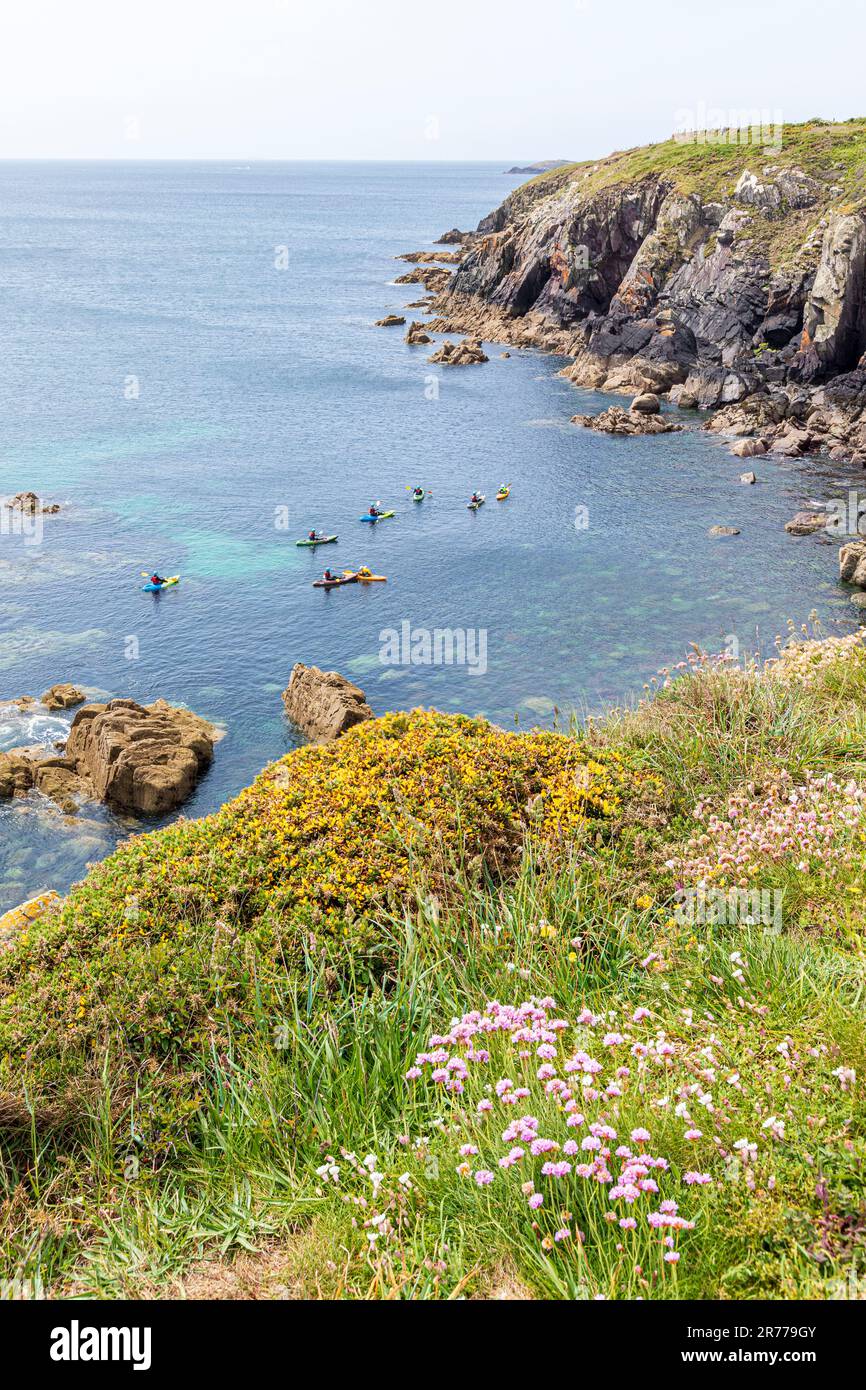 Canoisti a St non's Bay, sulla penisola di St David, nel Pembrokeshire Coast National Park, Galles, Regno Unito Foto Stock