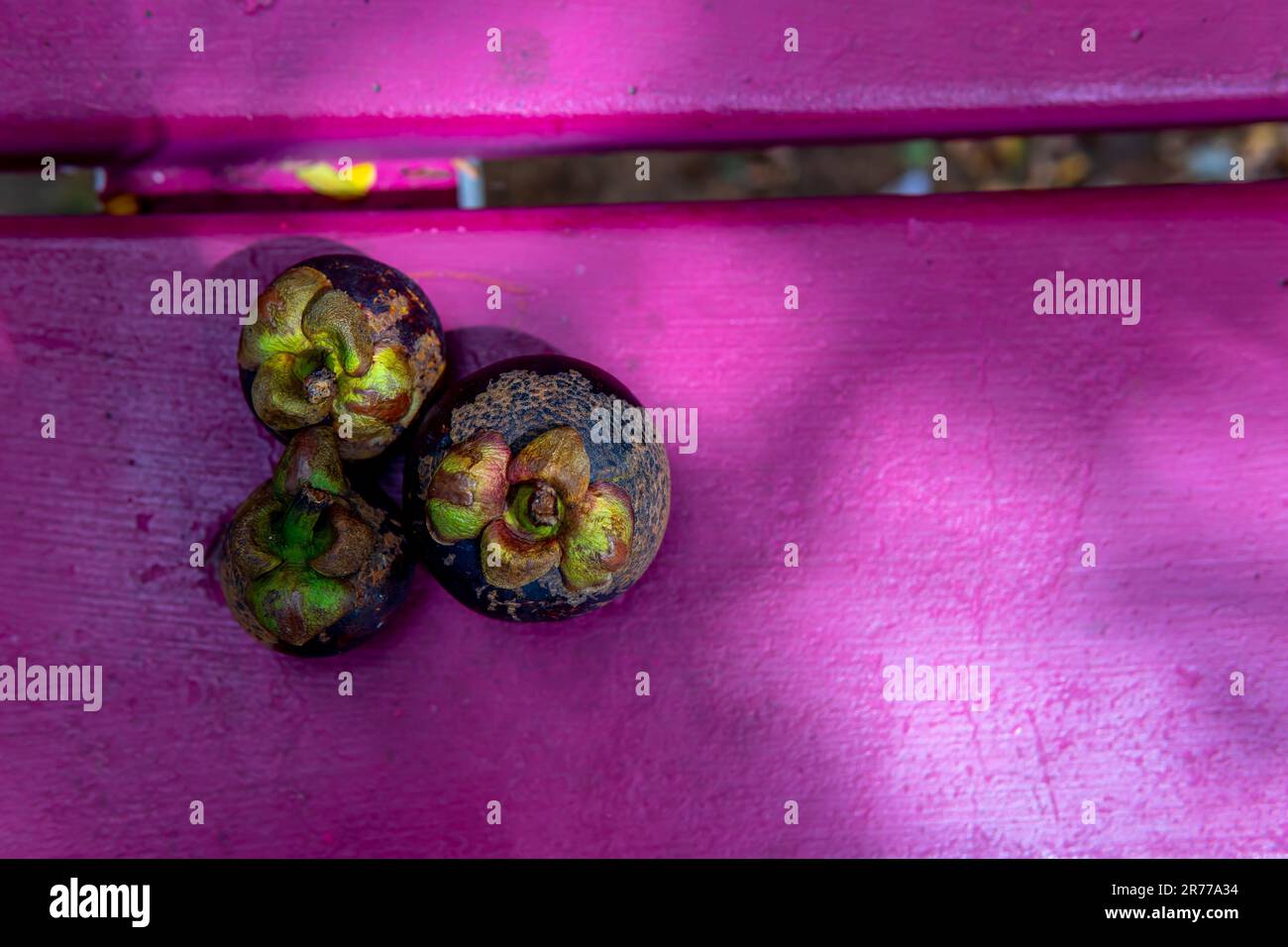 In un tranquillo parco, tre variopinti frutti di mangostano dai colori viola si siedono su una panchina rosa, che irradia freschezza e fascino. Foto Stock